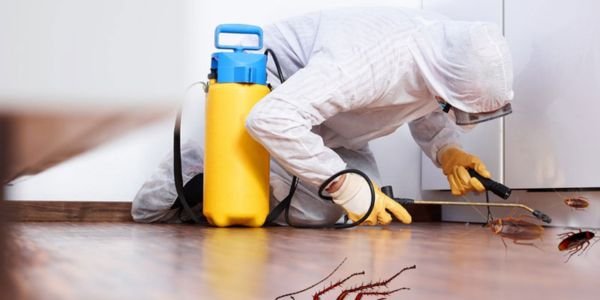 Pest Control Service